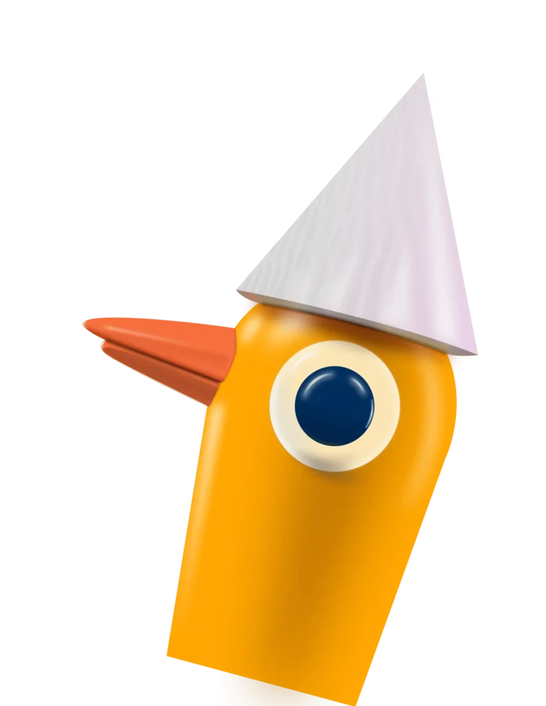 duck vsdsa scaled 1